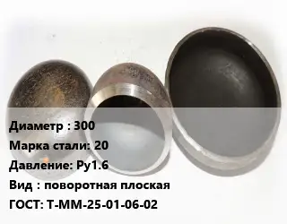 Заглушка стальная 300 Сталь: 20 Ру1.6 поворотная плоская ГОСТ: Т-ММ-25-01-06-02